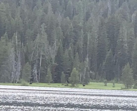 Bear Bottoms Watercraft Campsite