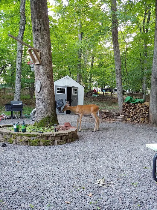Clearwater Forest Resort Community 5