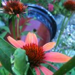 Clearwater Forest Resort Community