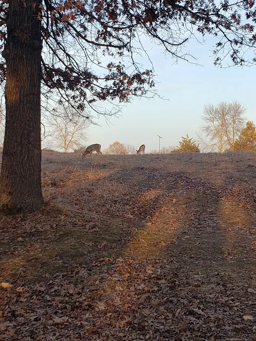 Afton State Park Backpacking Campsites 3