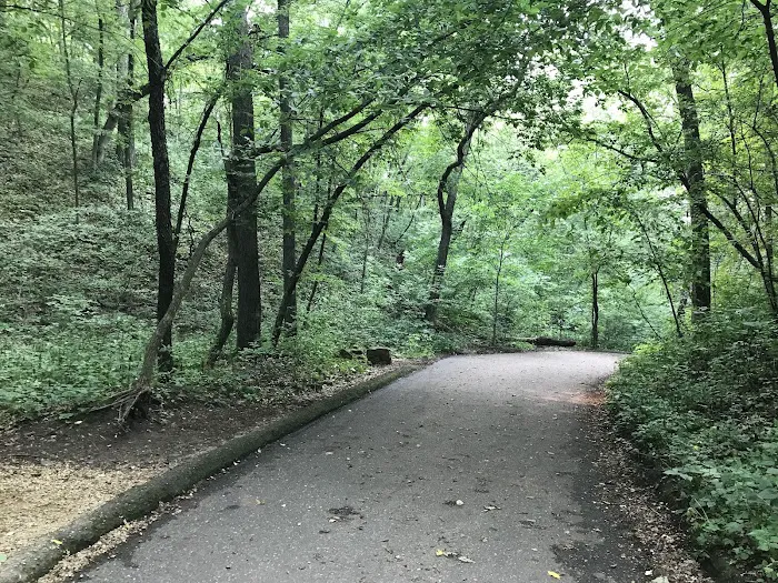 Willow River State Park Campground 6