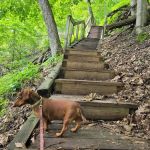 Frontenac State Park Campground