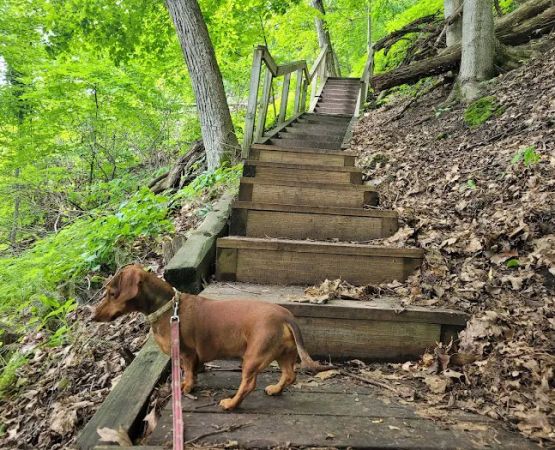 Frontenac State Park Campground