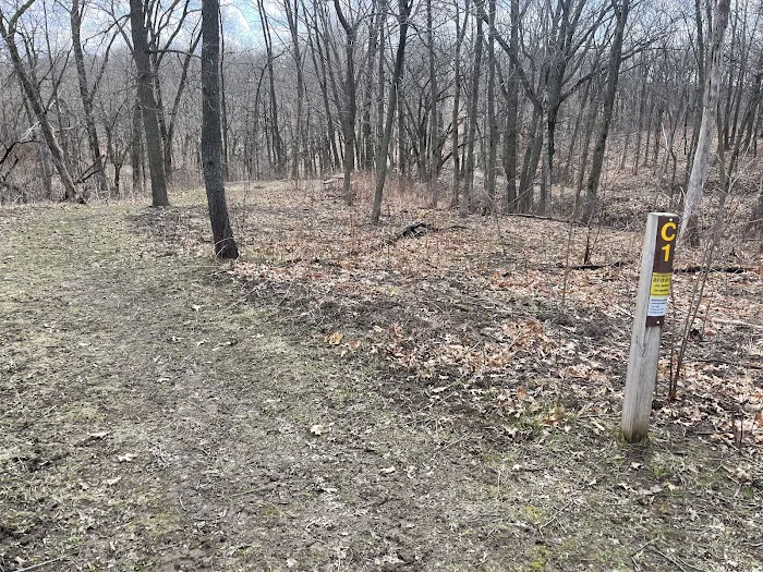 Cart-in Campground 5