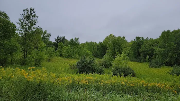 Lake Auburn Campground 3