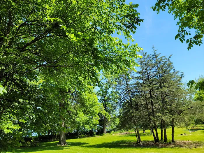 Piepenburg Campground 8