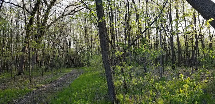 Piepenburg Campground 9