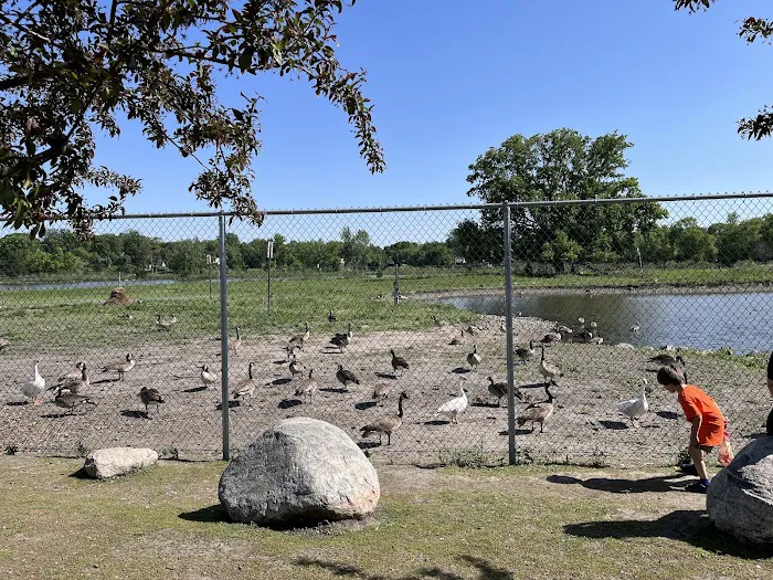 Masonic West River Campground 7