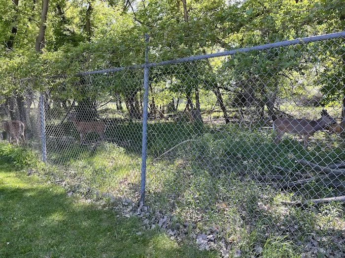 Masonic West River Campground 8