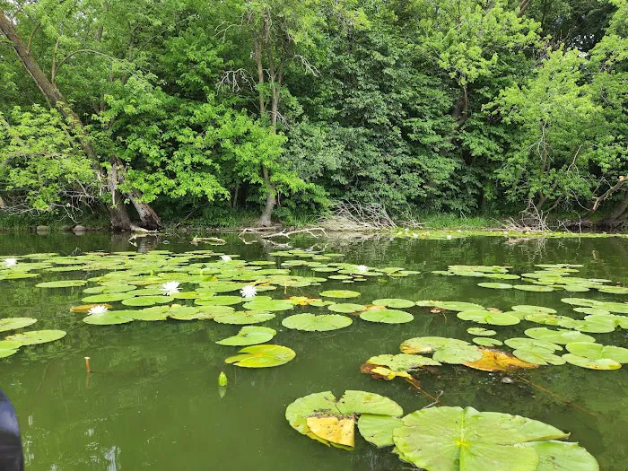 Cleary Lake Regional Park Campground 4