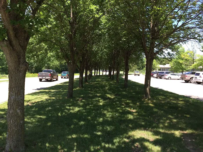 Cleary Lake Regional Park Campground 2
