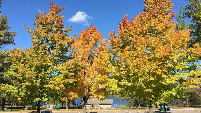 Cleary Lake Regional Park Campground 9