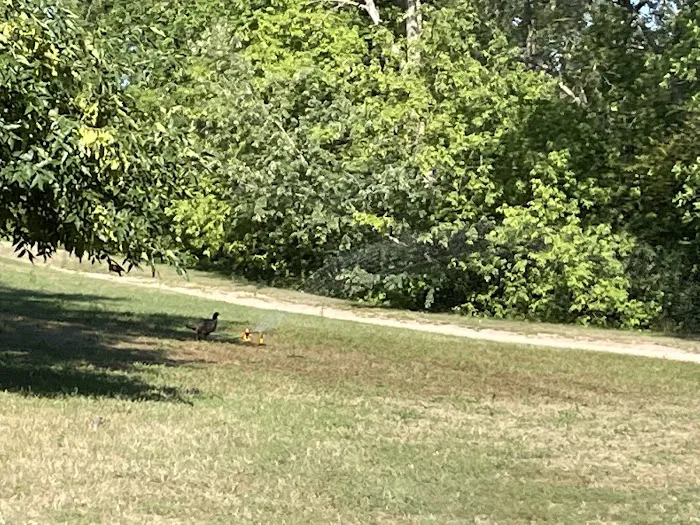 Fish Lake Acres Campground 9
