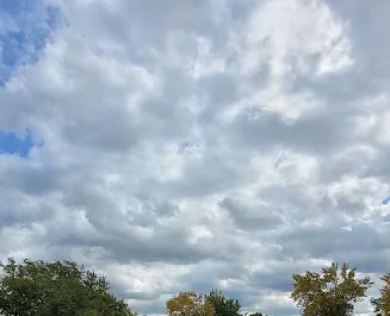Winjum's Shady Acres Resort
