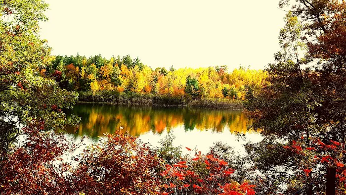Scenic View Campground 9