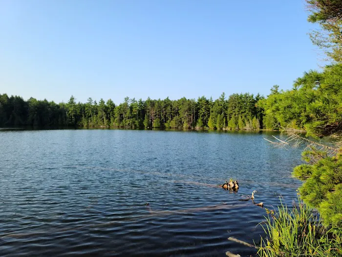 Trapper's Lake Campground 2