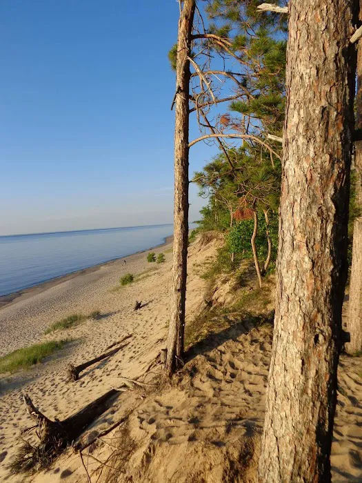Pine Bluff Campground 5