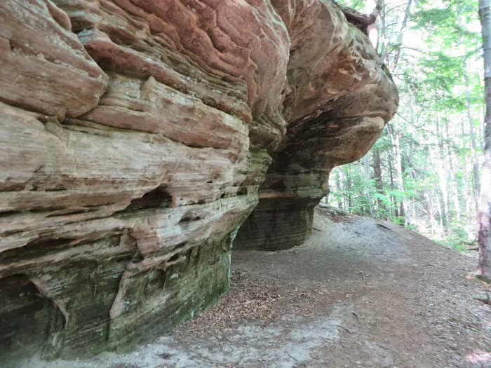 Beaver Creek Campground 8