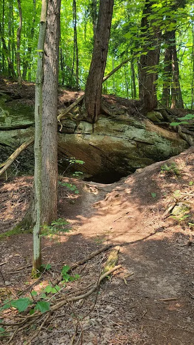 Coves Campground 7