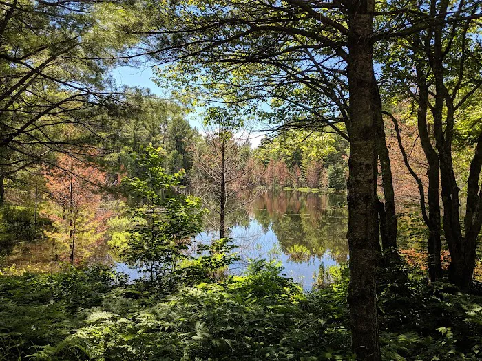 Kingston Lake State Forest Campground 9