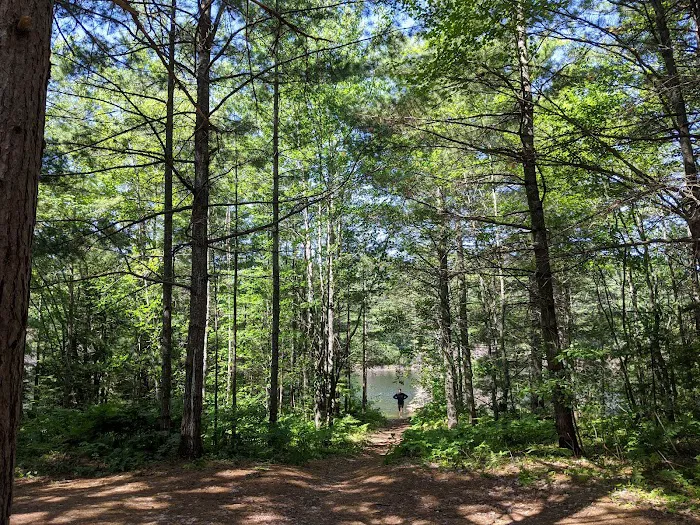 Kingston Lake State Forest Campground 2