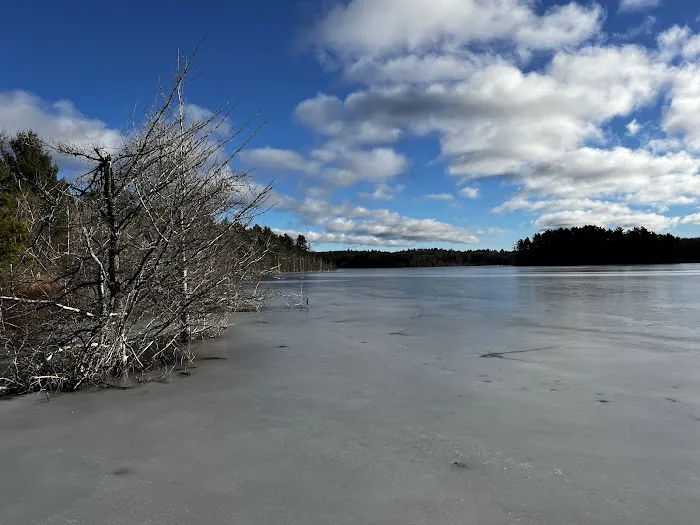 Kingston Lake State Forest Campground 4