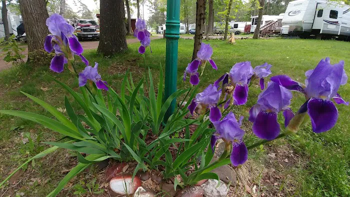 Edelweiss Campground 2