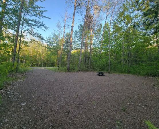 Private Campsite in Sturgeon Lake