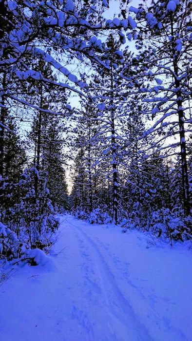 Timberline Campground 8