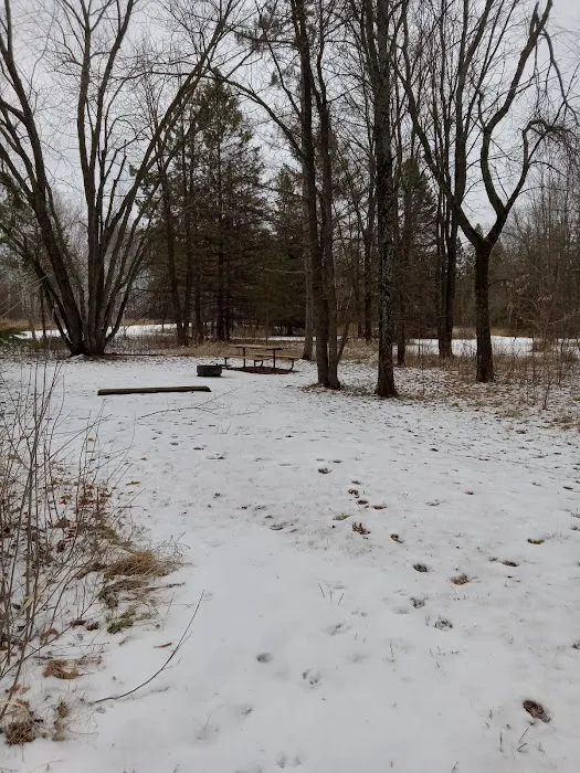 Moose Lake State Park Campground 7