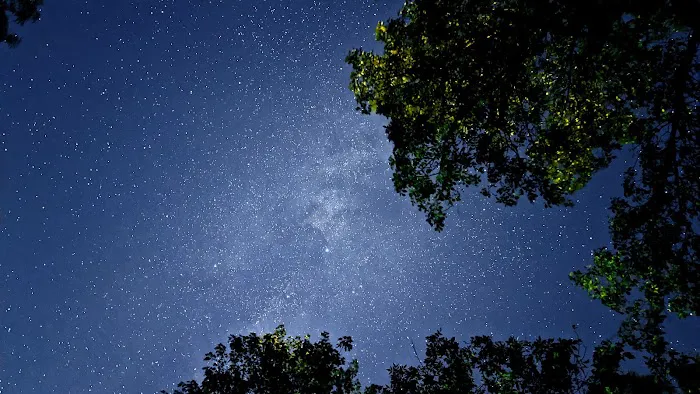 Moose Lake State Park Campground 0