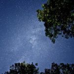 Moose Lake State Park Campground