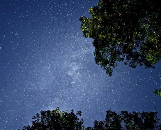 Moose Lake State Park Campground