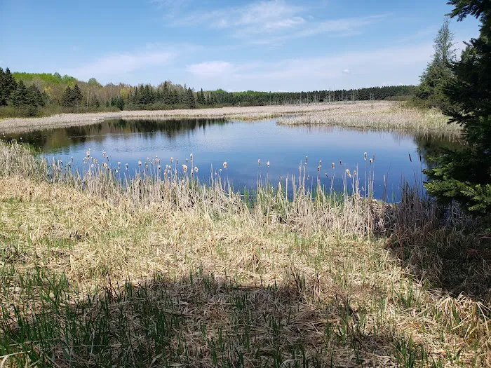 Moose Lake State Park Campground 2