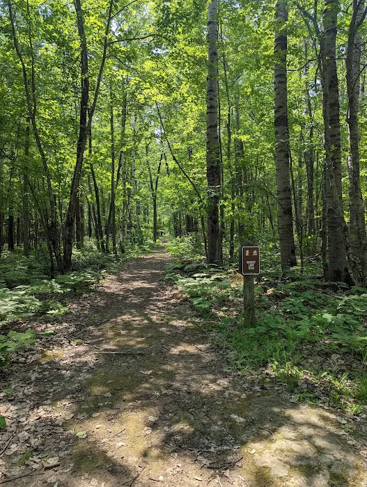 Moose Lake State Park Campground 8