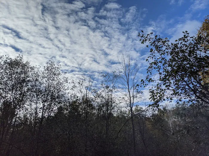 Moose Lake State Park Campground 6