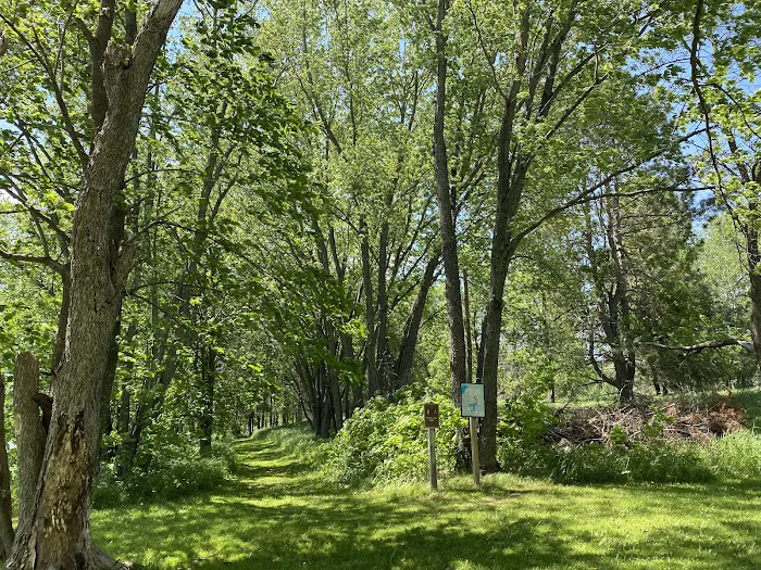Group Campground 4