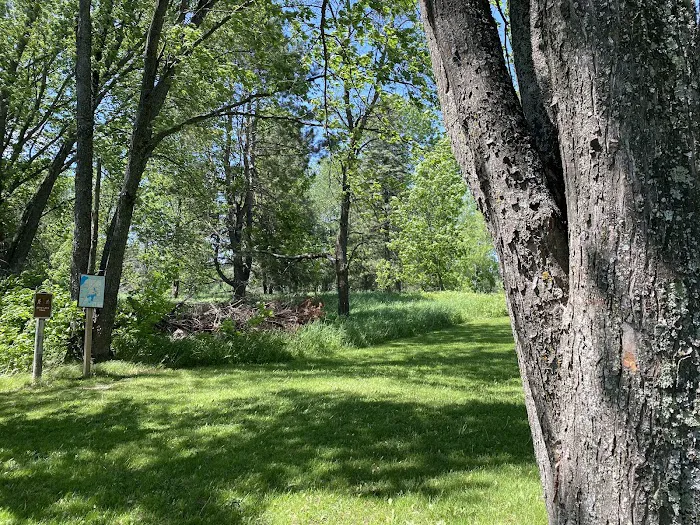 Group Campground 6