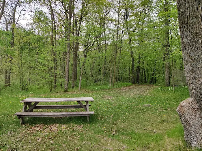 College of Wilderness Knowledge-Birch Bend Camp 2