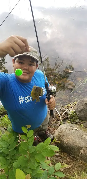 College of Wilderness Knowledge-Birch Bend Camp 3