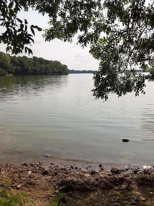 Lake Marion Campground 7