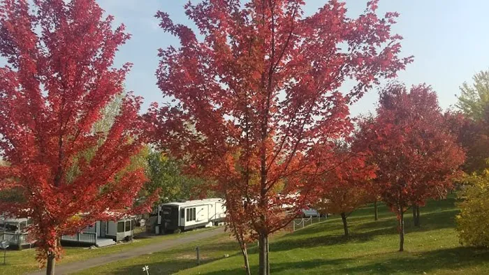Morning Star Resort Campground 5