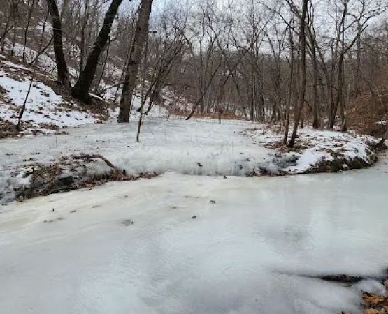 Group Campground
