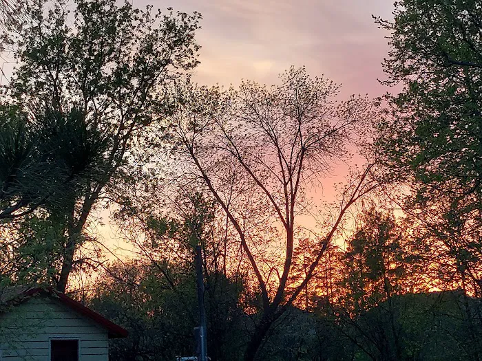 Woodlawn Resort & Campground 3