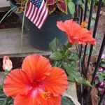 Don's Lakeview RV Park