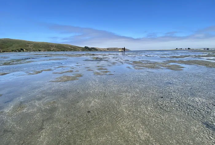 Lawson's Landing 2