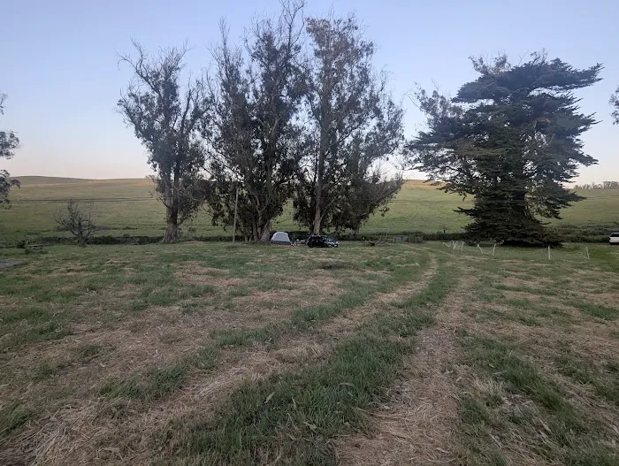The Grove at Hands Full Farm 8