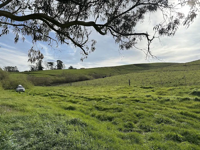 The Grove at Hands Full Farm 0