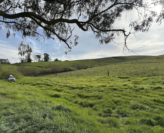 The Grove at Hands Full Farm