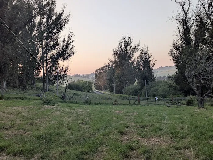 The Grove at Hands Full Farm 7